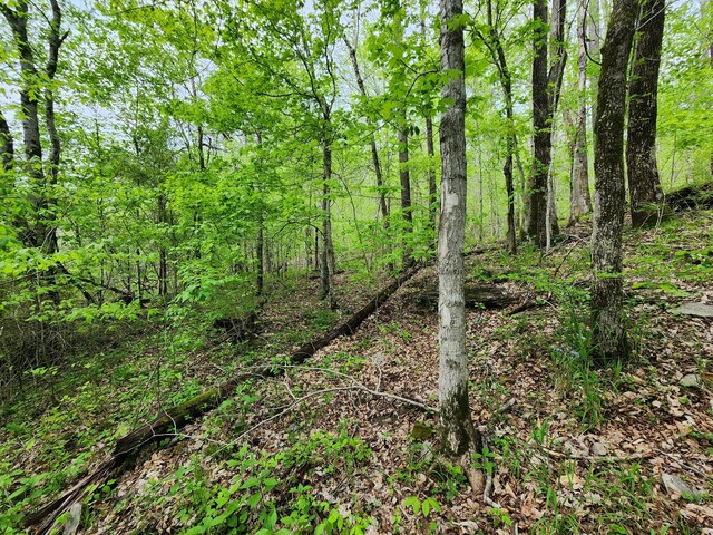 0 Walnut Grove Rd, Waynesboro, TN 38485