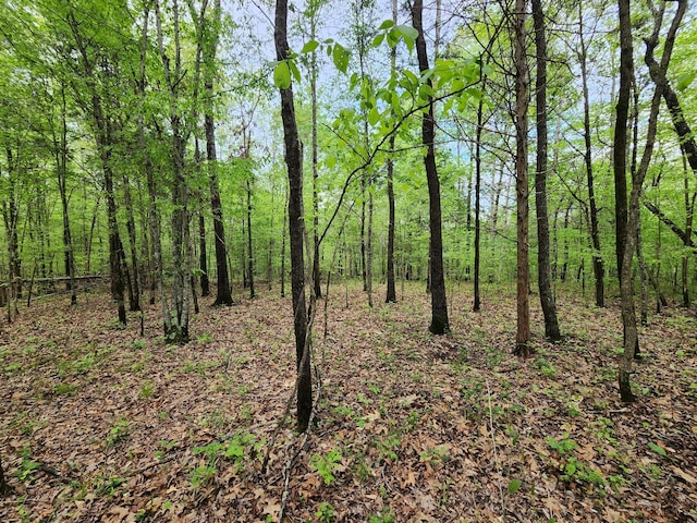 0 Walnut Grove Rd, Waynesboro, TN 38485