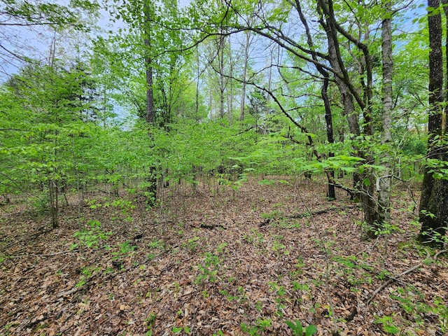 0 Walnut Grove Rd, Waynesboro, TN 38485