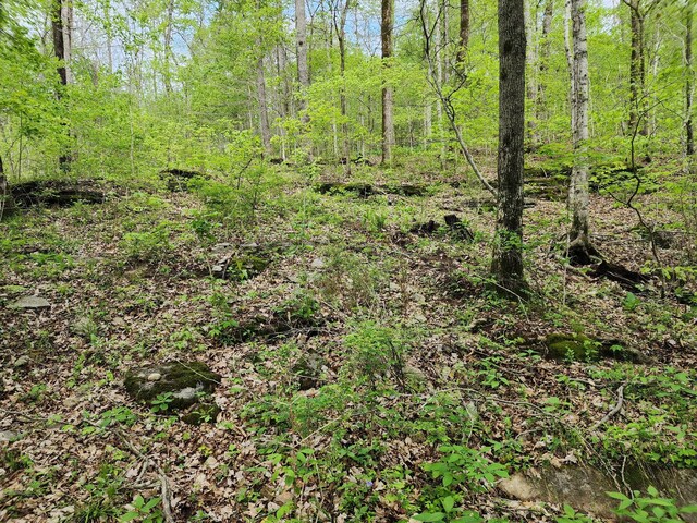 0 Walnut Grove Rd, Waynesboro, TN 38485