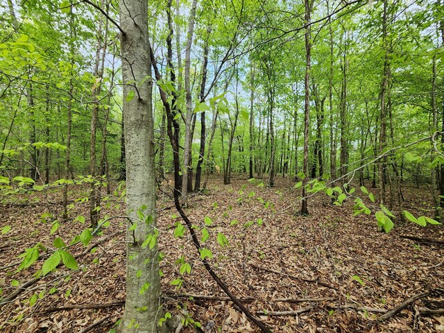 0 Walnut Grove Rd, Waynesboro, TN 38485