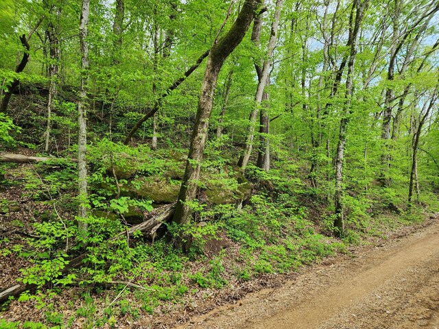 0 Walnut Grove Rd, Waynesboro, TN 38485
