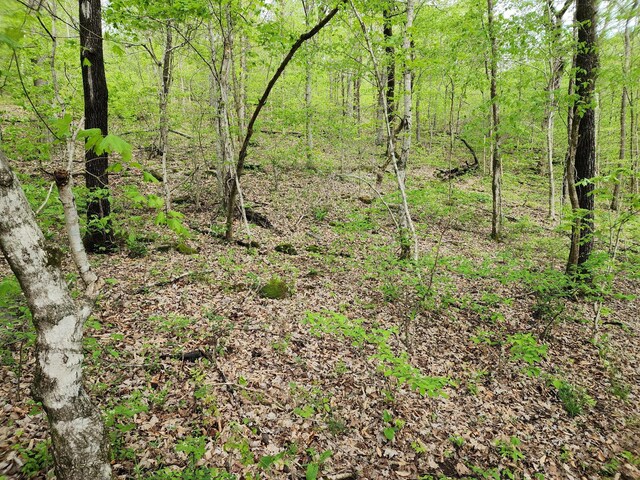 0 Walnut Grove Rd, Waynesboro, TN 38485