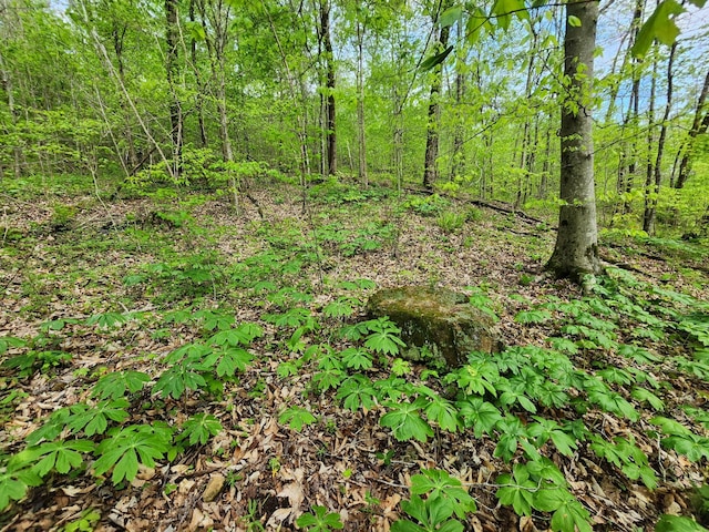0 Walnut Grove Rd, Waynesboro, TN 38485