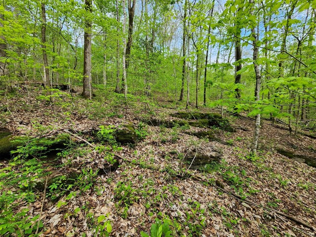 0 Walnut Grove Rd, Waynesboro, TN 38485