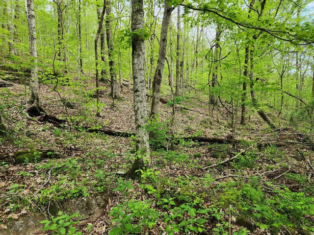 0 Walnut Grove Rd, Waynesboro, TN 38485