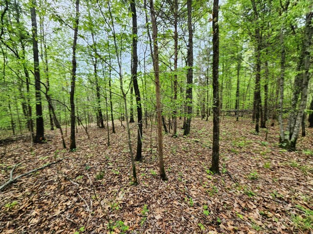 0 Walnut Grove Rd, Waynesboro, TN 38485
