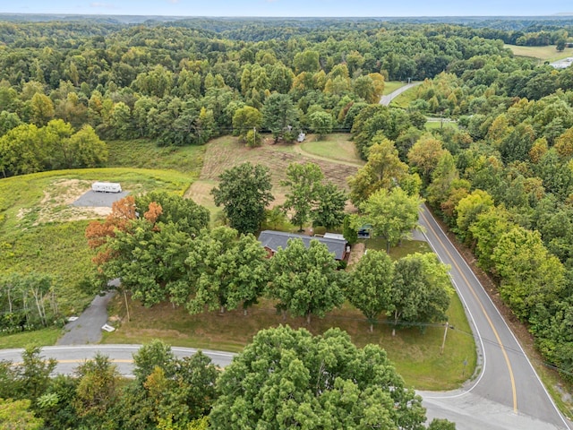 bird's eye view with a view of trees