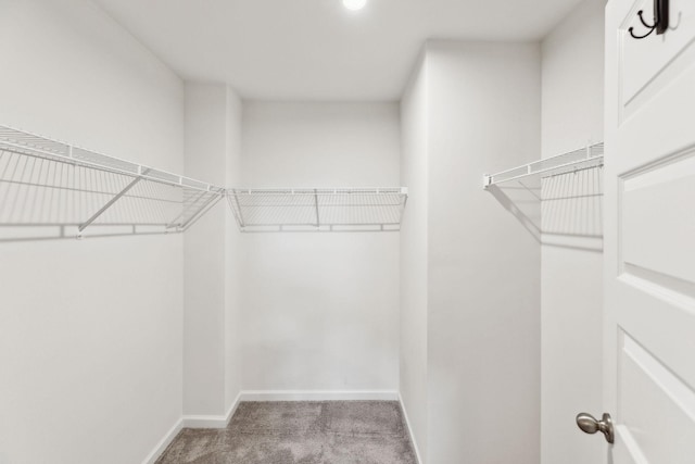 3227 Brookberry Ln, Murfreesboro, TN 37129 - walk in closet with carpet floors