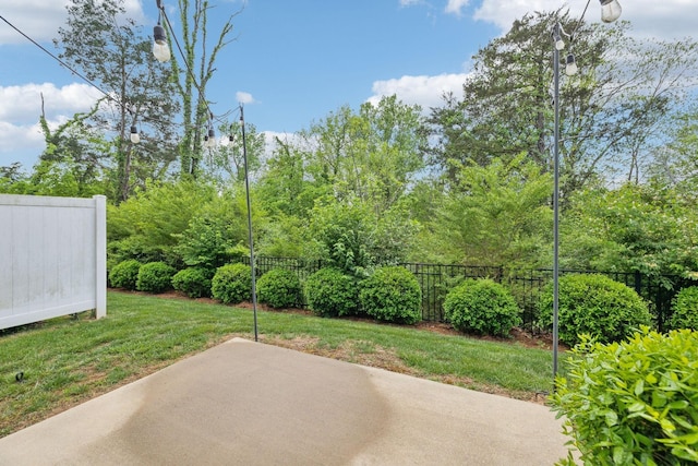 3227 Brookberry Ln, Murfreesboro, TN 37129 - view of yard featuring a patio area