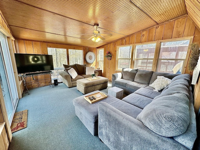 930 Timberlake Rd, Springville, TN 38256 - photo 9