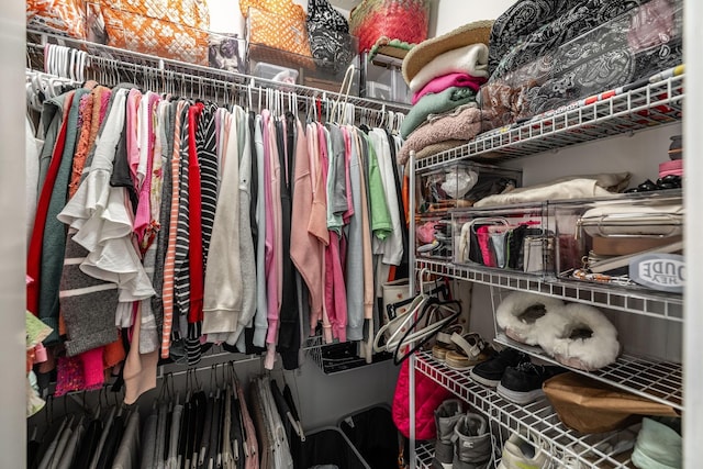 view of spacious closet