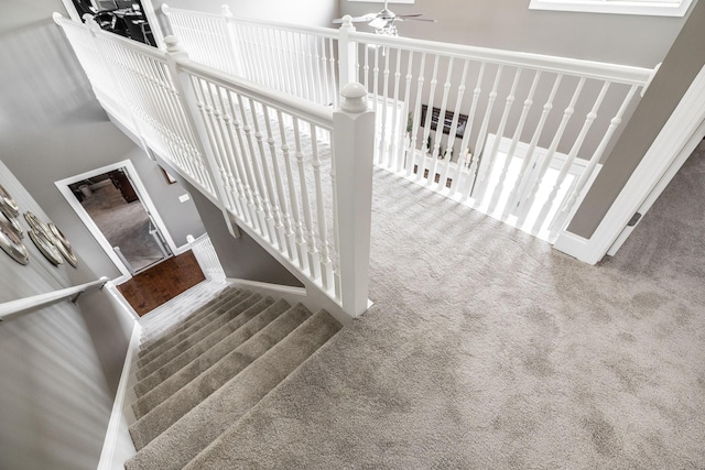 staircase featuring carpet floors, ceiling fan, and baseboards