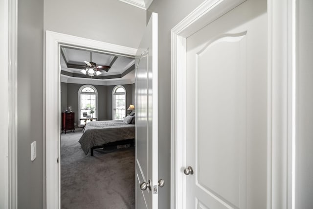 carpeted bedroom with crown molding and a tray ceiling
