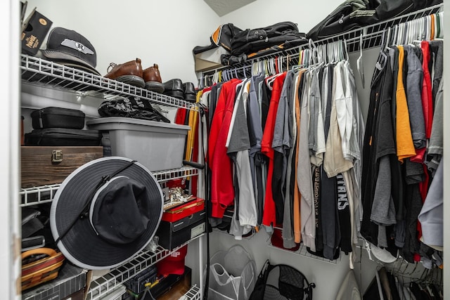 walk in closet featuring wood finished floors
