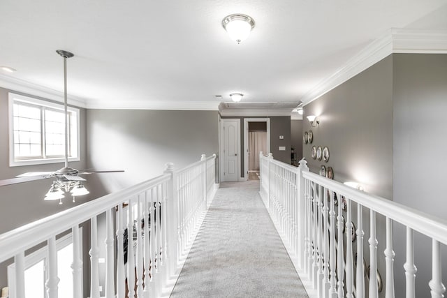hallway with ornamental molding and carpet