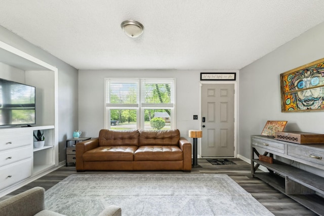 2608 Walnut Ln, Murfreesboro, TN 37129 - living room with baseboards, wood finished floors, and a textured ceiling
