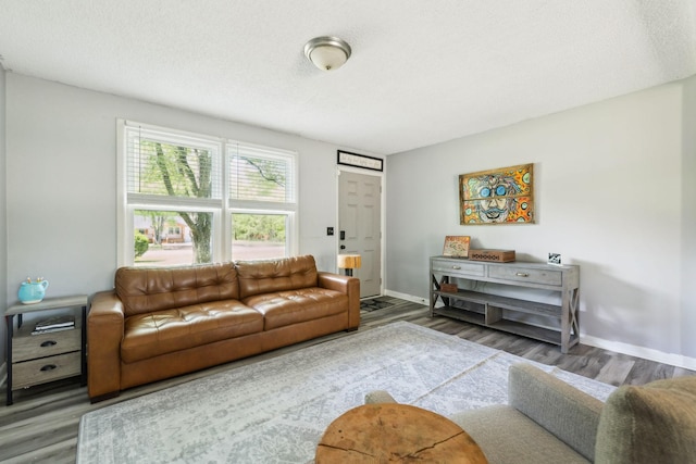 2608 Walnut Ln, Murfreesboro, TN 37129 - living room with a textured ceiling, wood finished floors, and baseboards