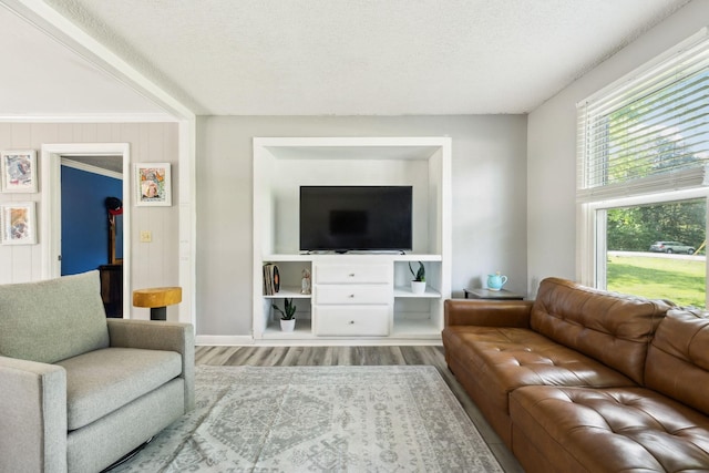 2608 Walnut Ln, Murfreesboro, TN 37129 - living room with a textured ceiling and wood finished floors