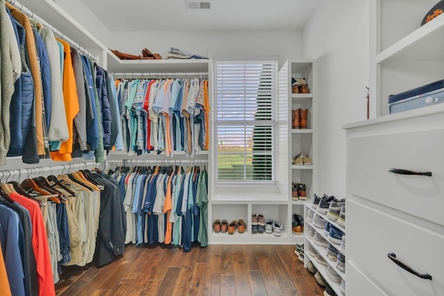 walk in closet with wood-type flooring