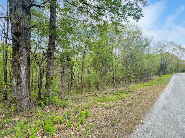 399 Kehrer Ln, Huntingdon, TN 38344