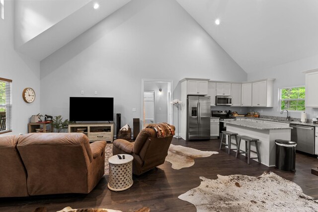 living area featuring recessed lighting, high vaulted ceiling, and dark wood finished floors
