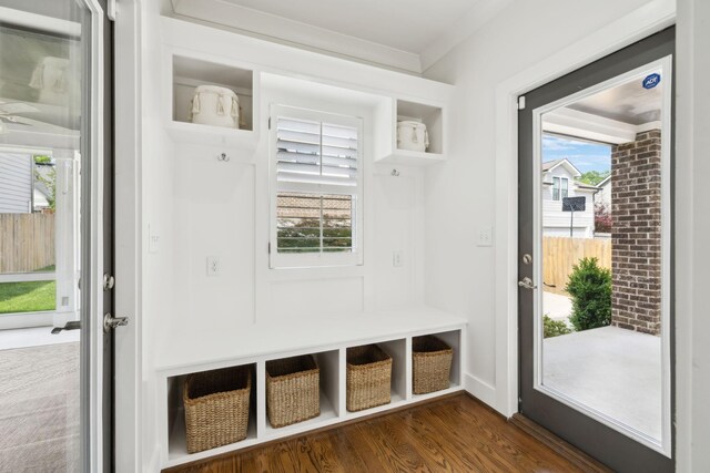 mudroom with crown molding, dark wood-style flooring, and a wealth of natural light