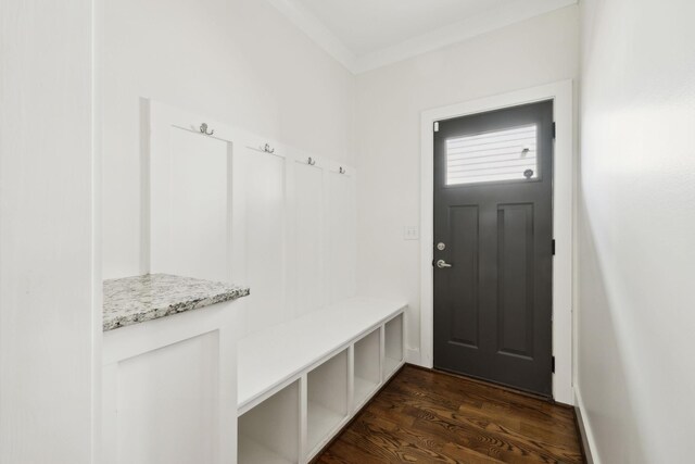 mudroom with dark wood-type flooring