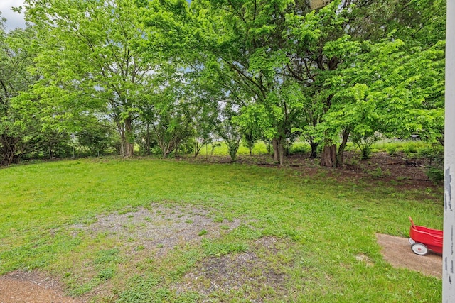 613 Cedar Ct, Nashville, TN 37211 - photo 20