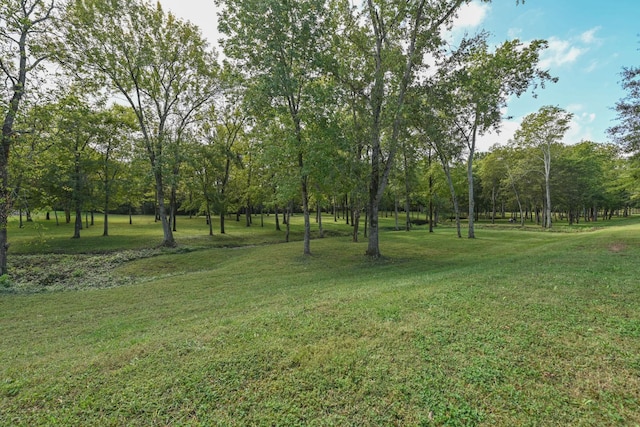 141 Saundersville Rd Unit 1305, Hendersonville, TN 37075 - view of yard