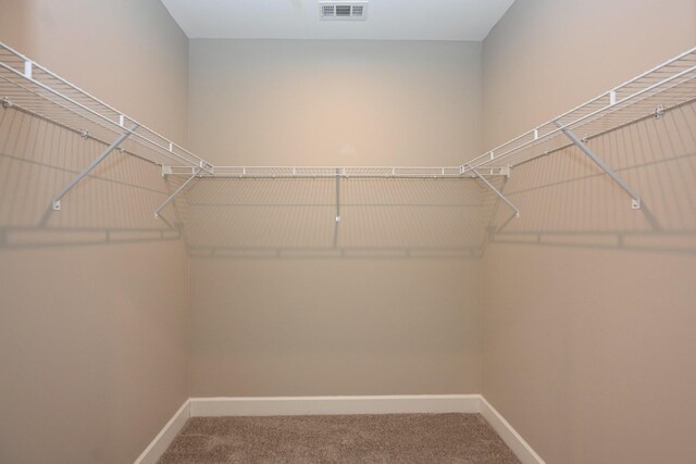 141 Saundersville Rd Unit 1305, Hendersonville, TN 37075 - spacious closet with carpet flooring and visible vents