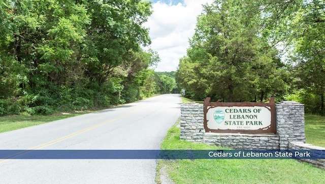 1014 Keyes Pl, Lebanon, TN 37087 - view of road