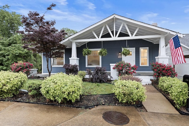 craftsman-style house with a porch