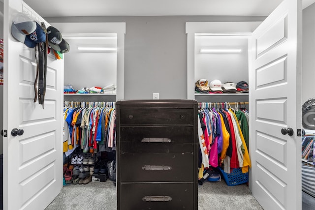 spacious closet with carpet