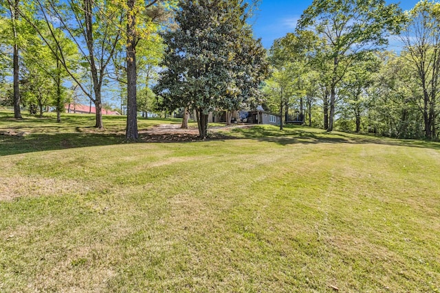 view of yard