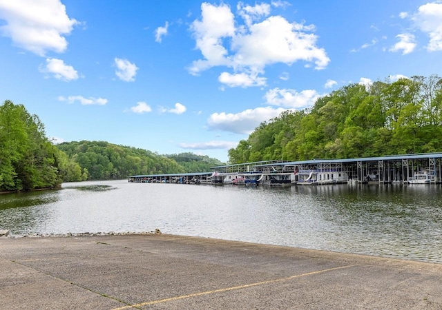 460 Evans Dr, Tullahoma, TN 37388 - photo 67