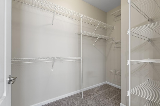 184 Whitman Aly, Clarksville, TN 37043 - spacious closet with carpet floors