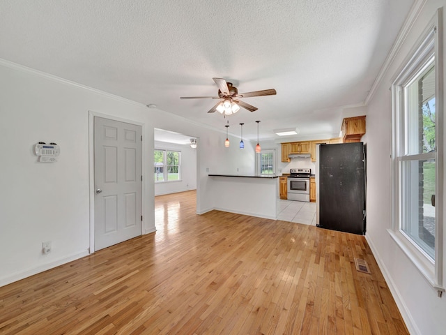kitchen with light wood finished floors, a ceiling fan, freestanding refrigerator, and stainless steel electric range