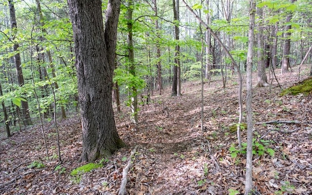 675 Hog Back Ridge Rd, Bethpage, TN 37022 - view of tree filled area