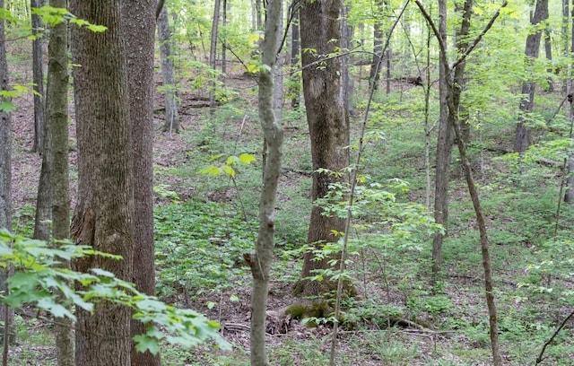 675 Hog Back Ridge Rd, Bethpage, TN 37022 - view of wooded area