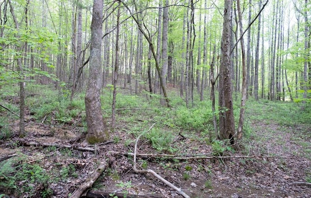 675 Hog Back Ridge Rd, Bethpage, TN 37022 - view of wooded area