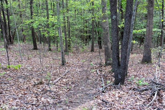 675 Hog Back Ridge Rd, Bethpage, TN 37022 - view of wooded area