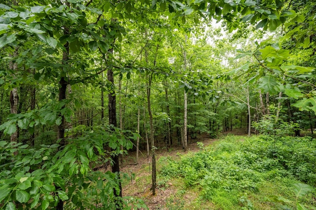 675 Hog Back Ridge Rd, Bethpage, TN 37022 - view of woods