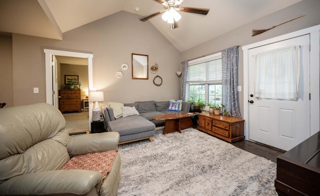 675 Hog Back Ridge Rd, Bethpage, TN 37022 - living area with ceiling fan, lofted ceiling, and wood finished floors