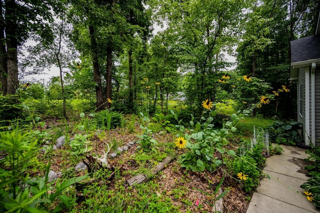 675 Hog Back Ridge Rd, Bethpage, TN 37022 - view of yard featuring a garden