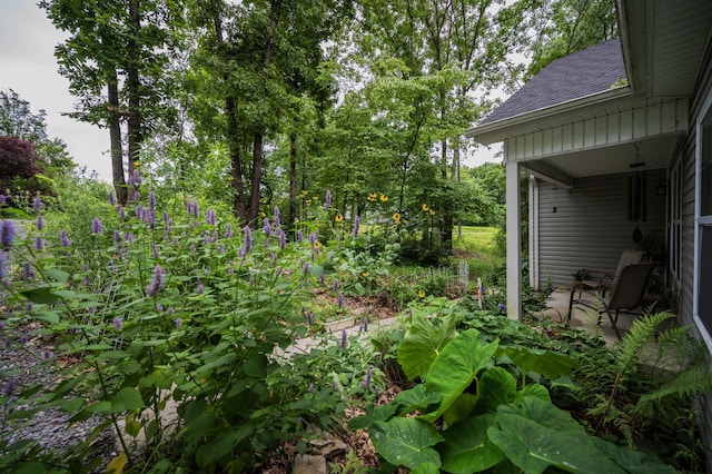 675 Hog Back Ridge Rd, Bethpage, TN 37022 - view of yard