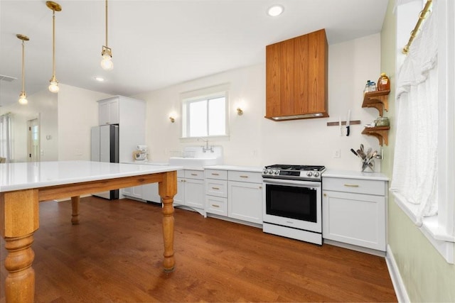 153 Lewis Rd, Morrison, TN 37357 - kitchen featuring pendant lighting, wood finished floors, freestanding refrigerator, and stainless steel gas stove