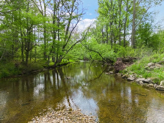 153 Lewis Rd, Morrison, TN 37357 - view of water feature