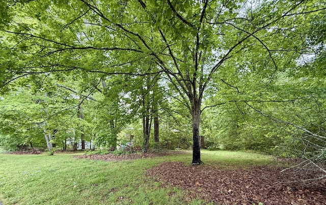 view of yard with a view of trees