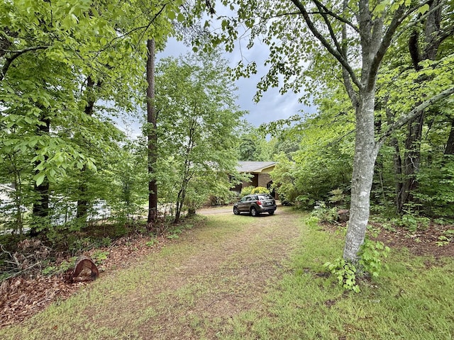 view of yard featuring driveway